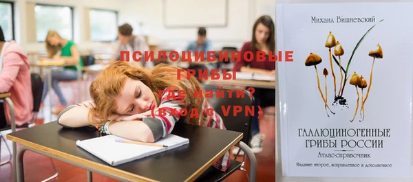 синтетический гашиш Верхний Тагил