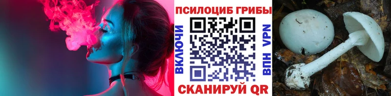 Псилоцибиновые грибы прущие грибы  Ивантеевка 